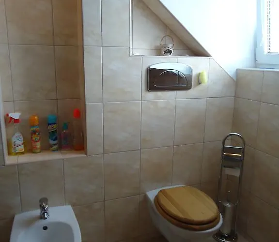 Duhova Apartment